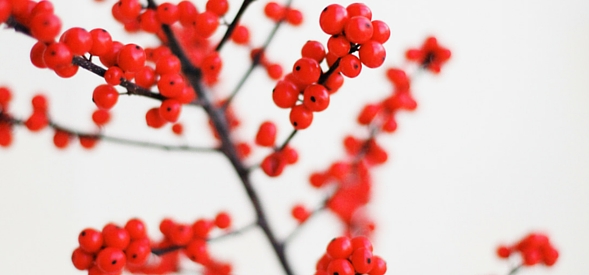 10 Tips to Help You Keep Writing Through the Holidays