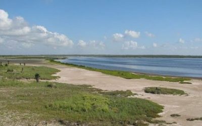 This Writer’s Life: A Texas Psychotherapist Revamps Her Life to Write