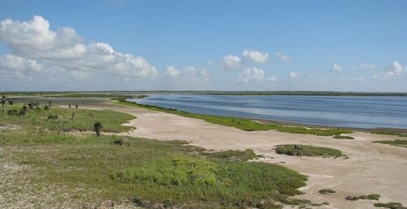 This Writer’s Life: A Texas Psychotherapist Revamps Her Life to Write