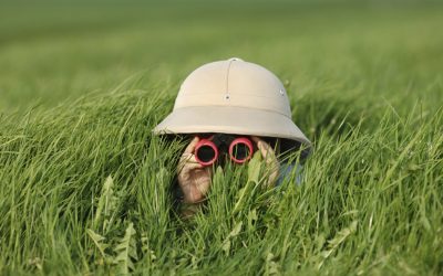 How to spot the smokescreens that stop you from writing