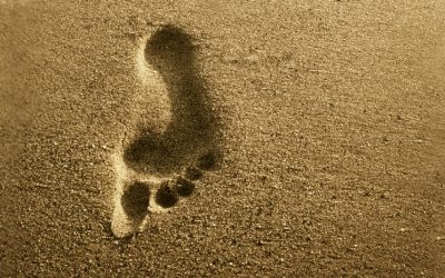 Building a habit: A journey of a thousand miles begins with a single step