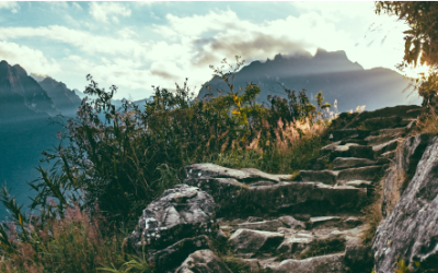 3 Tips for Staying Energized When Writing a Book (or Script!)
