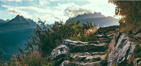 3 Tips for Staying Energized When Writing a Book (or Script!)